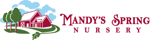 Mandy Spring Farm Nursery