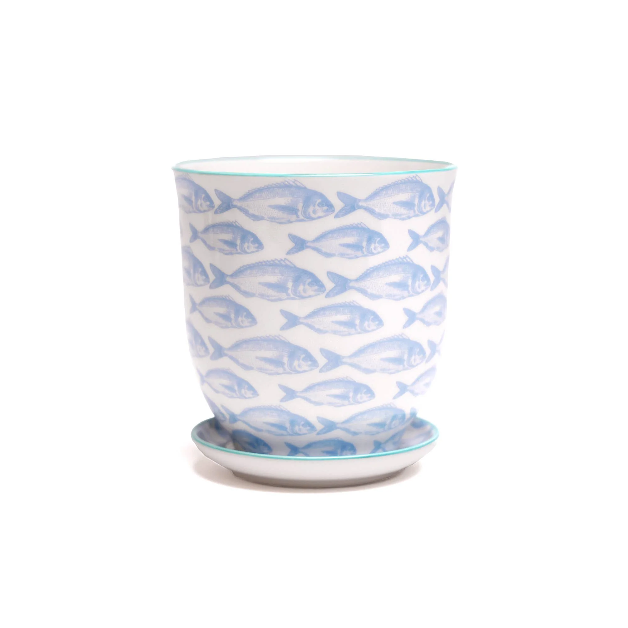 Thumbnail 15