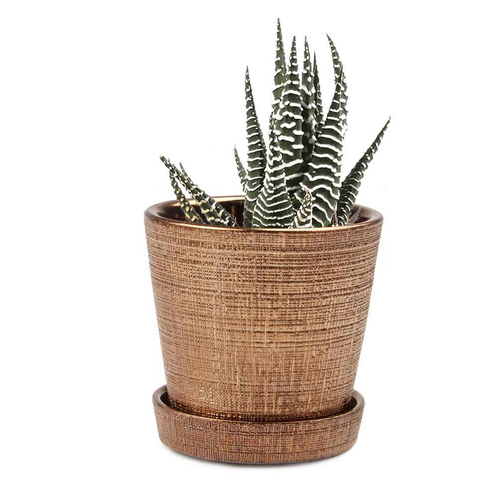 Thumbnail 15